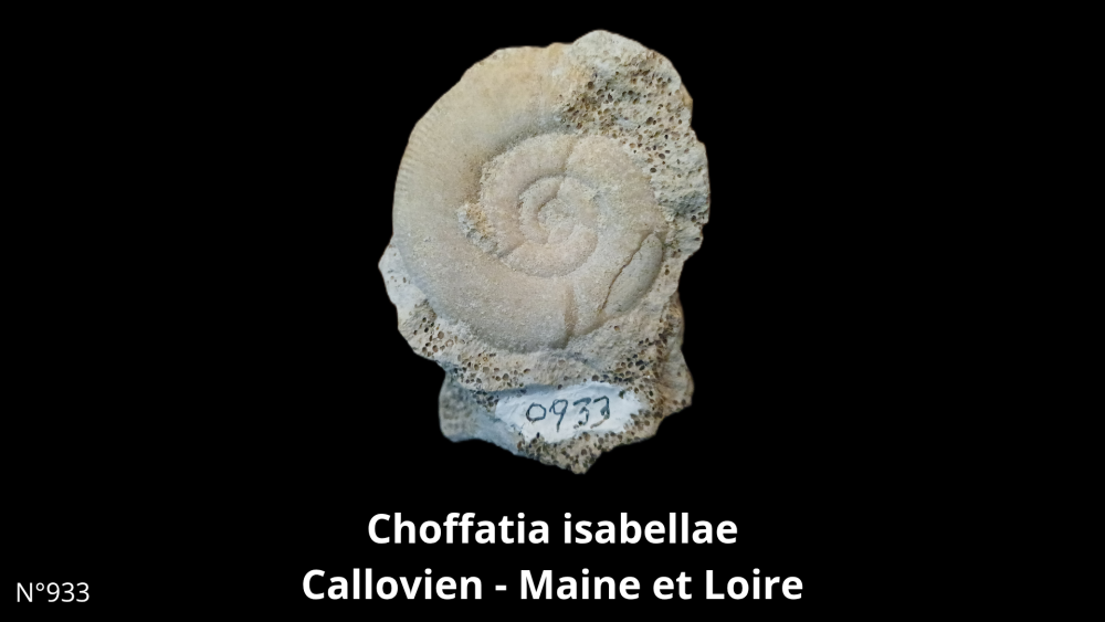 BT 058 collectiob_20250812_220056_0005.png