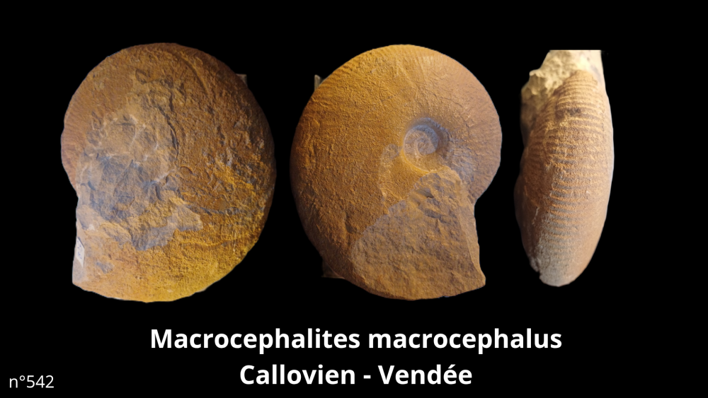 Boite collection 041_20250812_221210_0001.png