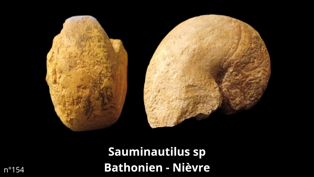 Boite collection 041_20250812_221210_0002.png