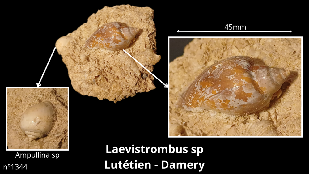 Bte 078_20251027_210353_0000.png