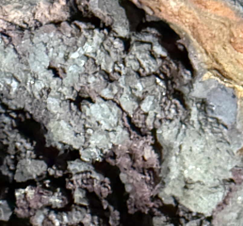 Capture d’écran 2025-10-01 à 22.19.00.png