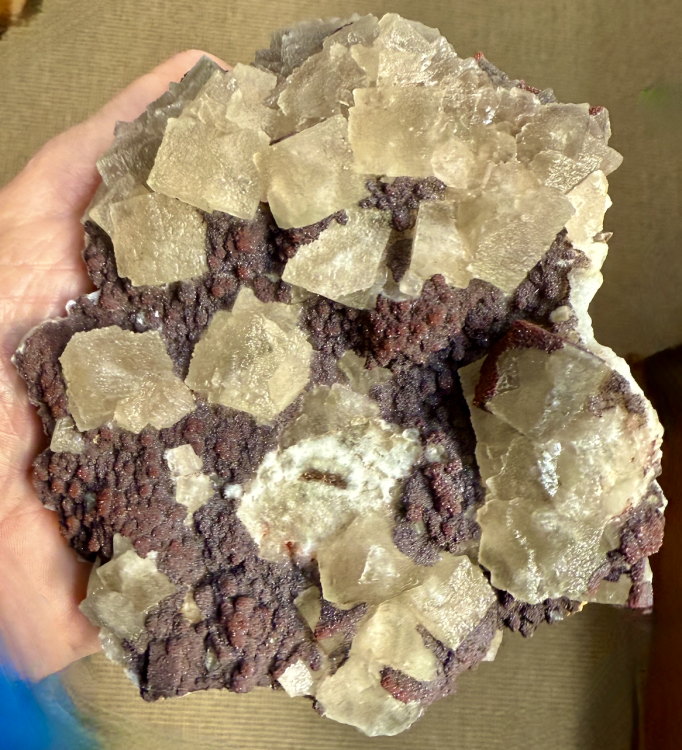 Capture d’écran 2025-10-01 à 23.07.28.png