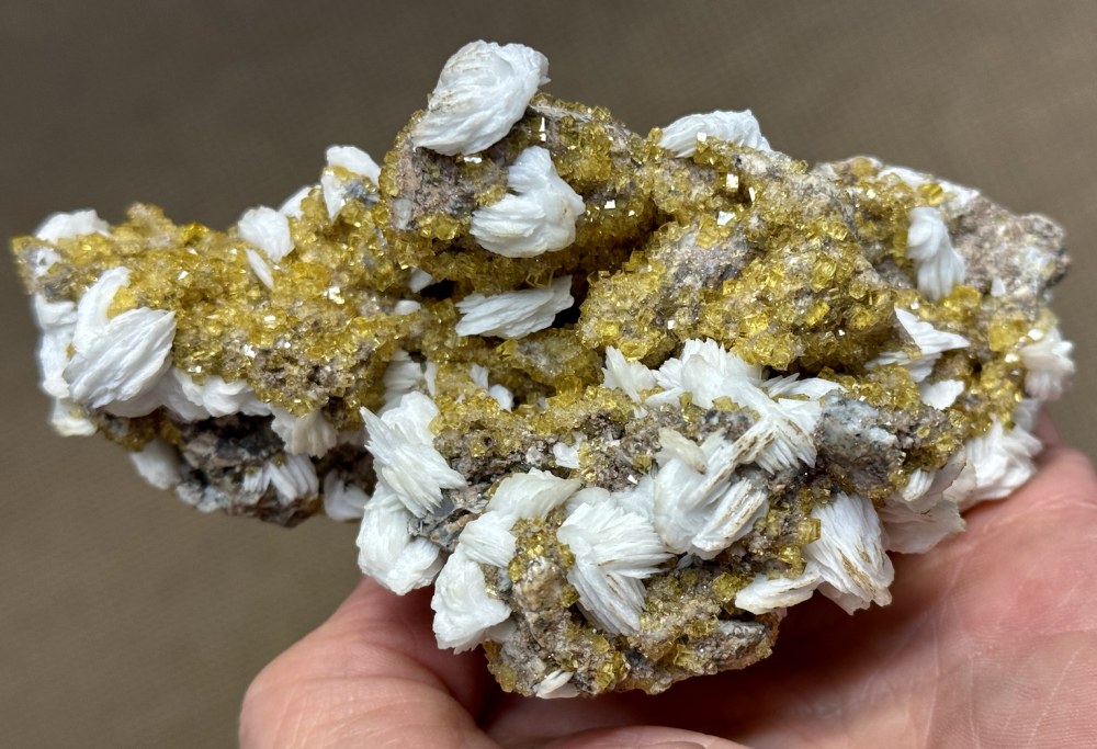 Capture d’écran 2025-10-01 à 23.11.09.png