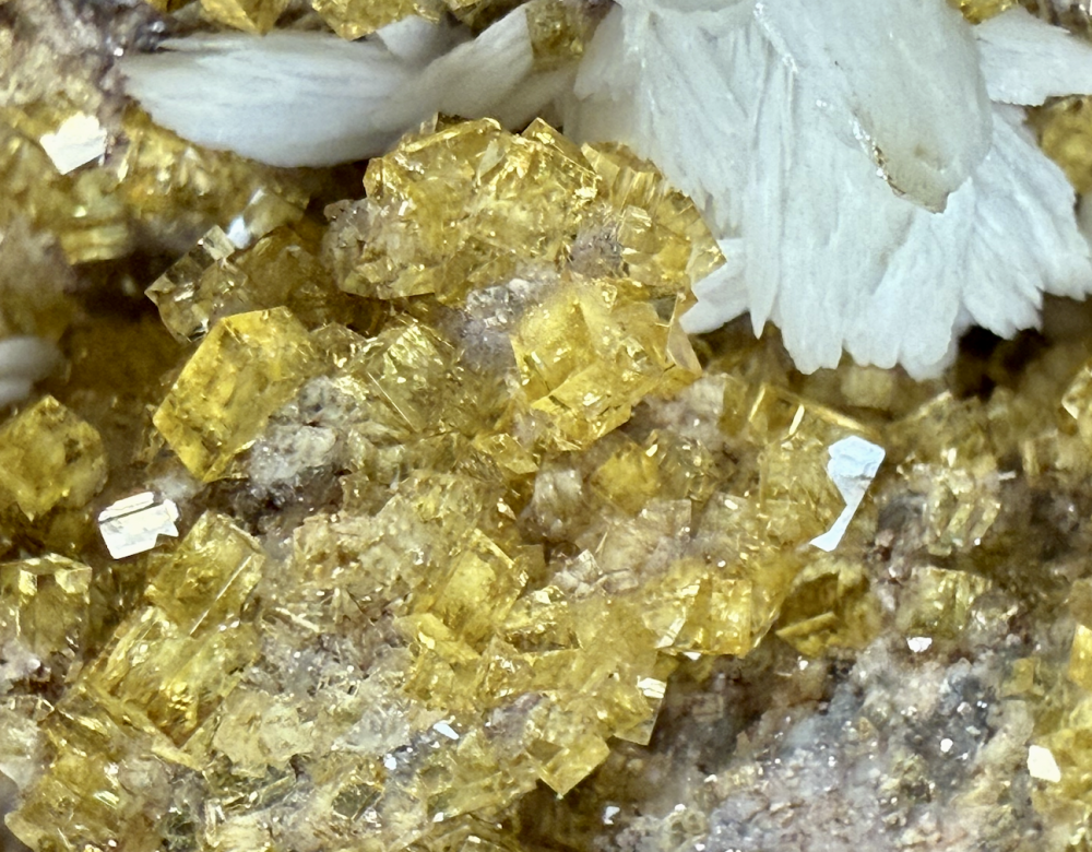 Capture d’écran 2025-10-01 à 23.11.25.png