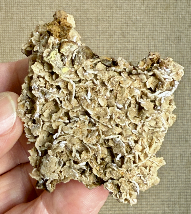 Capture d’écran 2025-10-02 à 23.28.38.png