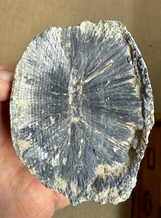 Capture d’écran 2025-10-03 à 22.28.36.png