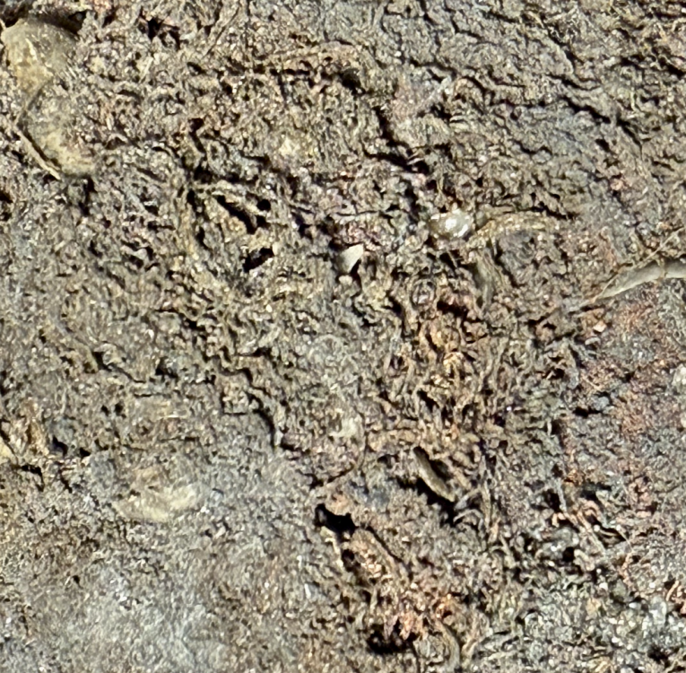 Capture d’écran 2025-10-03 à 22.33.13.png