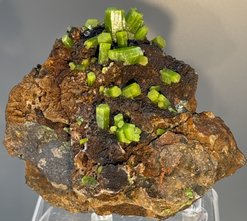 Capture d’écran 2025-10-27 à 22.32.42.png