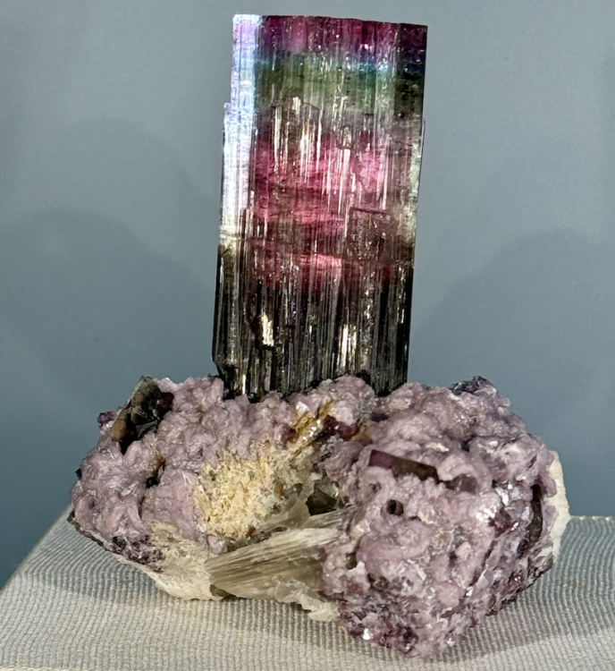 Capture d’écran 2025-10-27 à 22.33.07.png