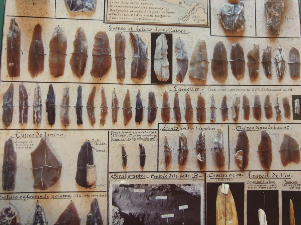 GéoForum Elasmo 2.jpg