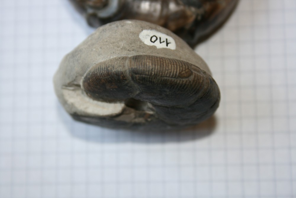 IMG_2349 - Copie.JPG