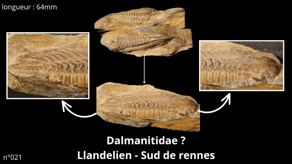 Photos pièces vitrine_20251022_090604_0000.png