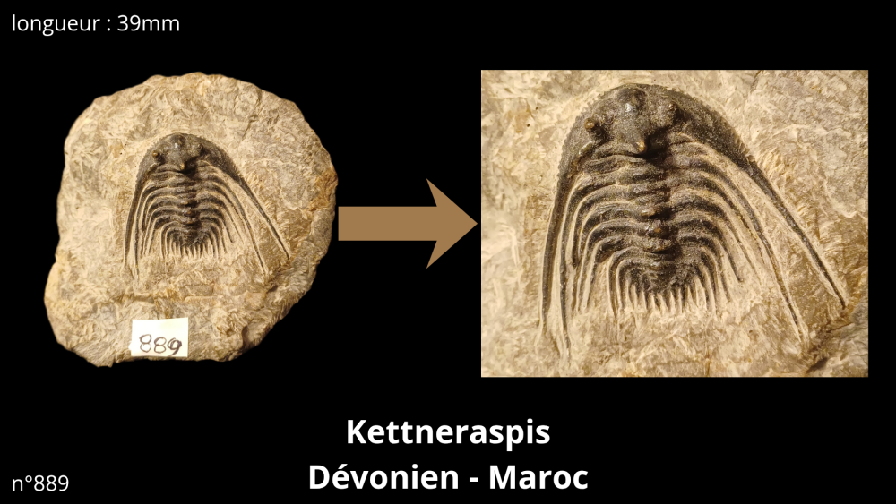 Photos pièces vitrine_20251022_090917_0000.png