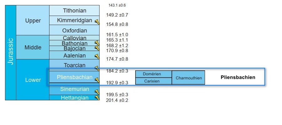 Pliensbachien.jpg.d42be97ba97fee3232adaa7d4cdd35fd.jpg
