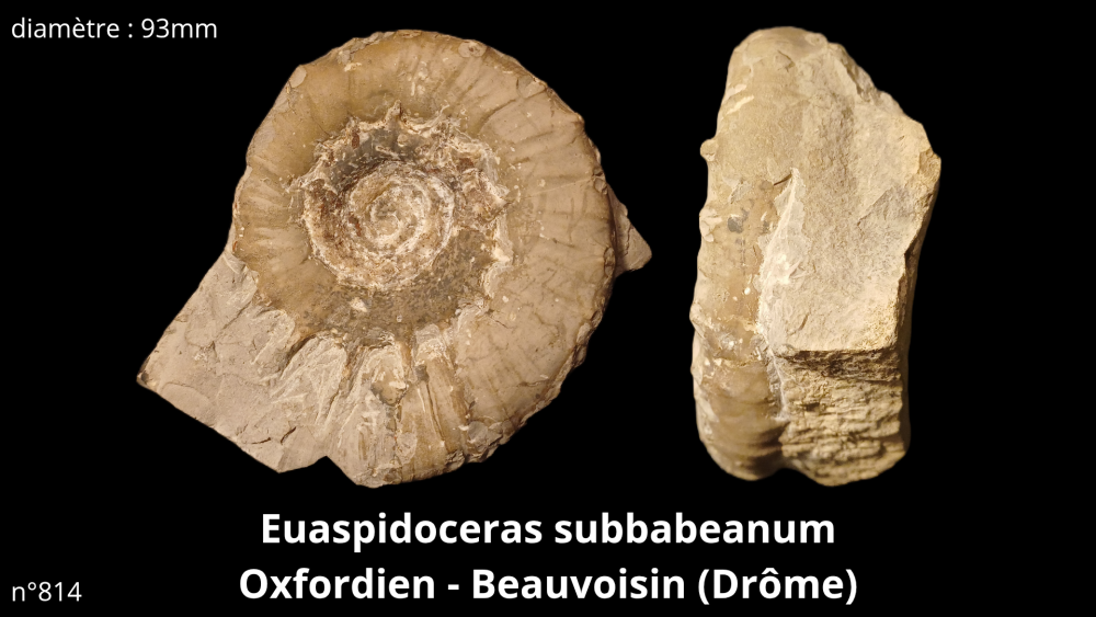 bte 070_20251021_215320_0000.png