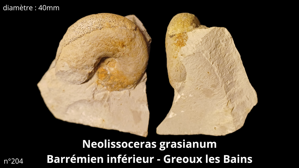 bte 070_20251021_215321_0004.png