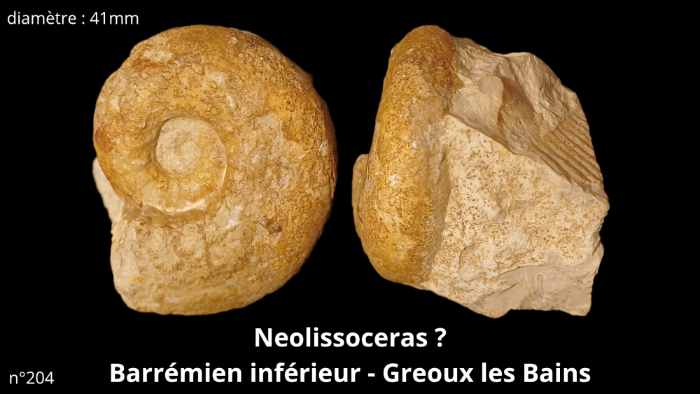 bte 070_20251021_215321_0005.png