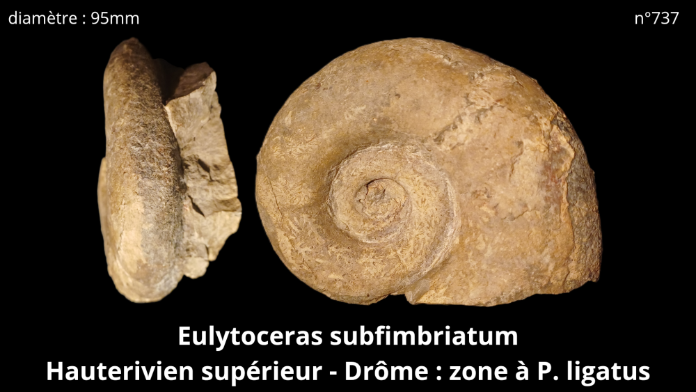 bte 070_20251021_215321_0006.png