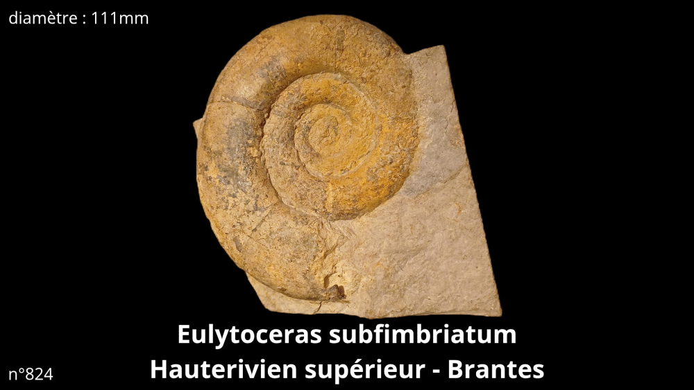 bte 070_20251021_215321_0007.png