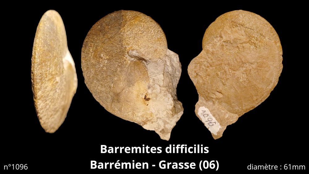 bte 070_20251021_215321_0008.png