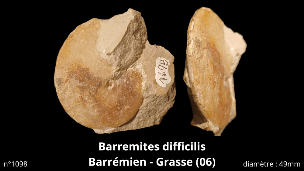 bte 070_20251021_215321_0009.png