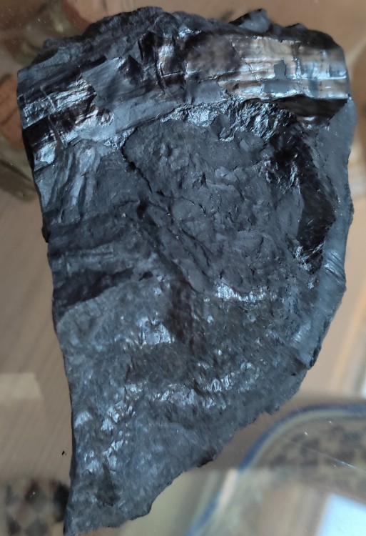 fossile n°2 face 1.jpg