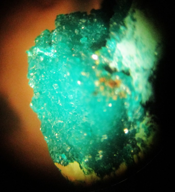 kipushote 4 essai photoA.JPG