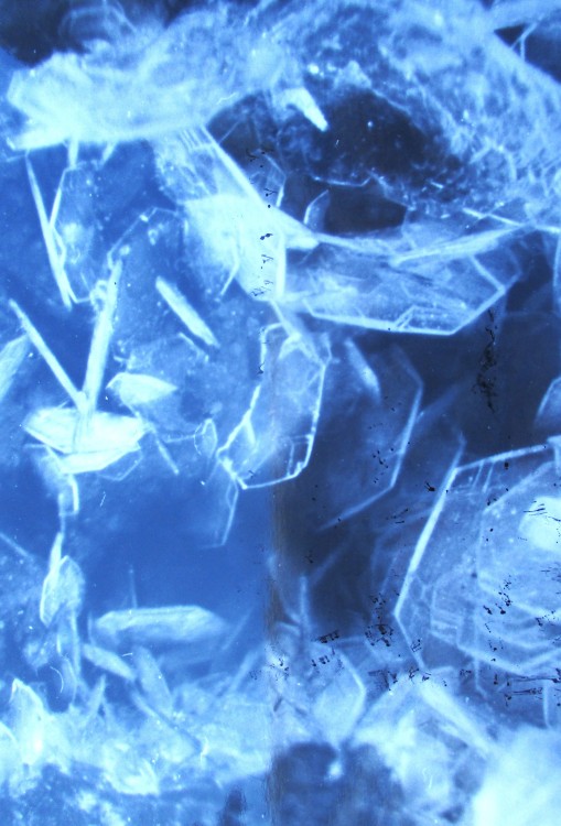 levyne 2 pointe de tekeo.JPG