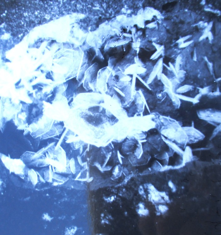 levyne 3 pointe de tekeo.JPG