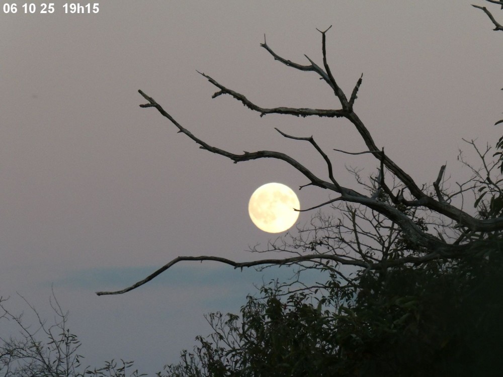 lune06102025a.thumb.JPG.a5f9acd8b9dfc895d548df2a78fc0f8a.JPG