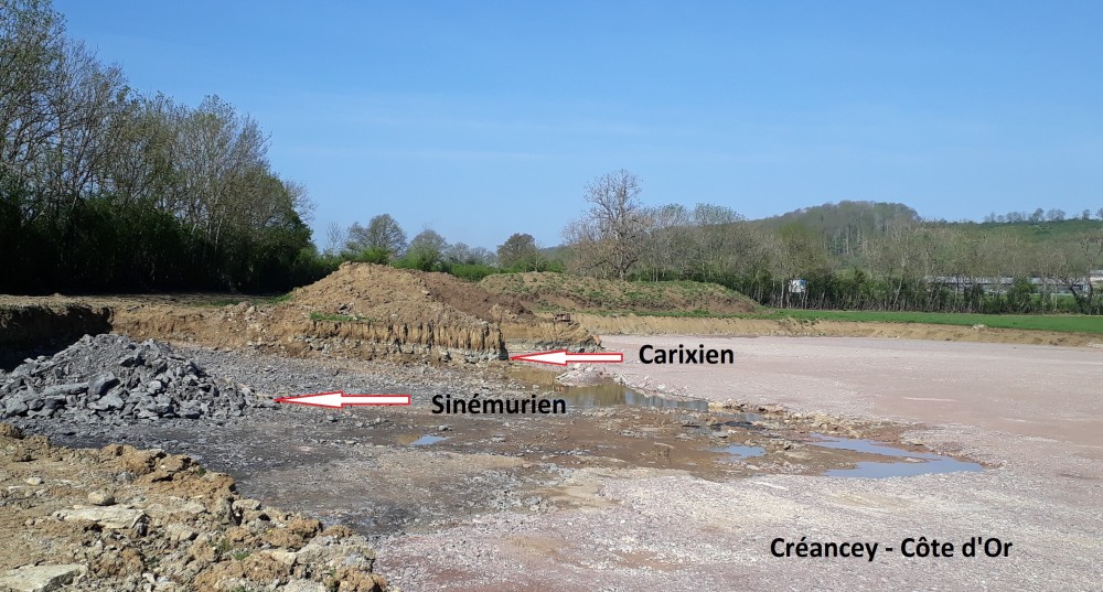 sinemurien-carixien coupe.jpg