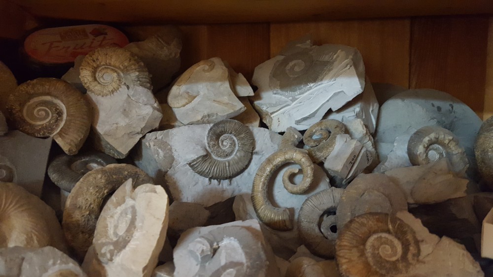 20180223_172756 - Copie.jpg