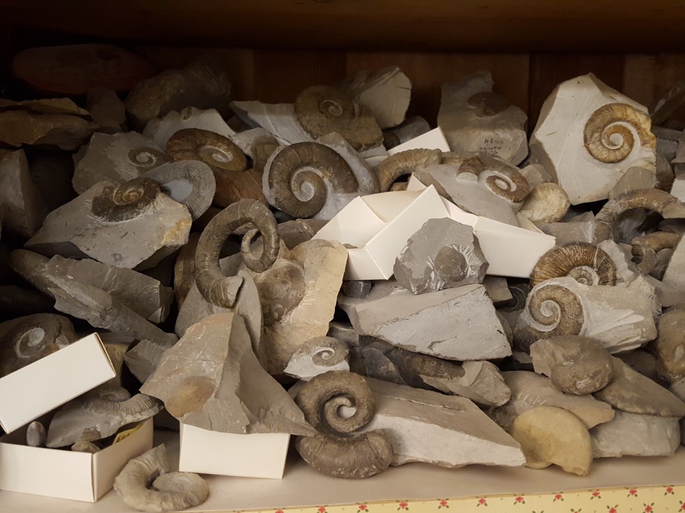 20210116_170240 - Copie.jpg