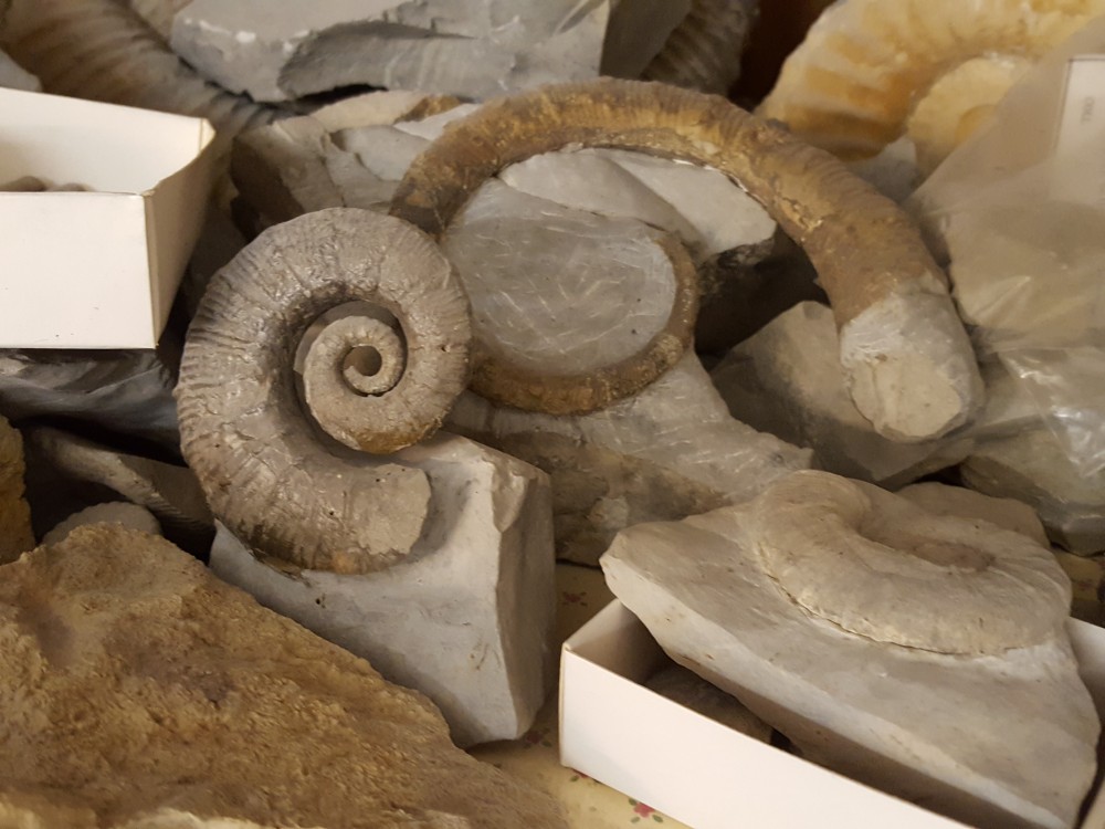 20210116_170310 - Copie.jpg