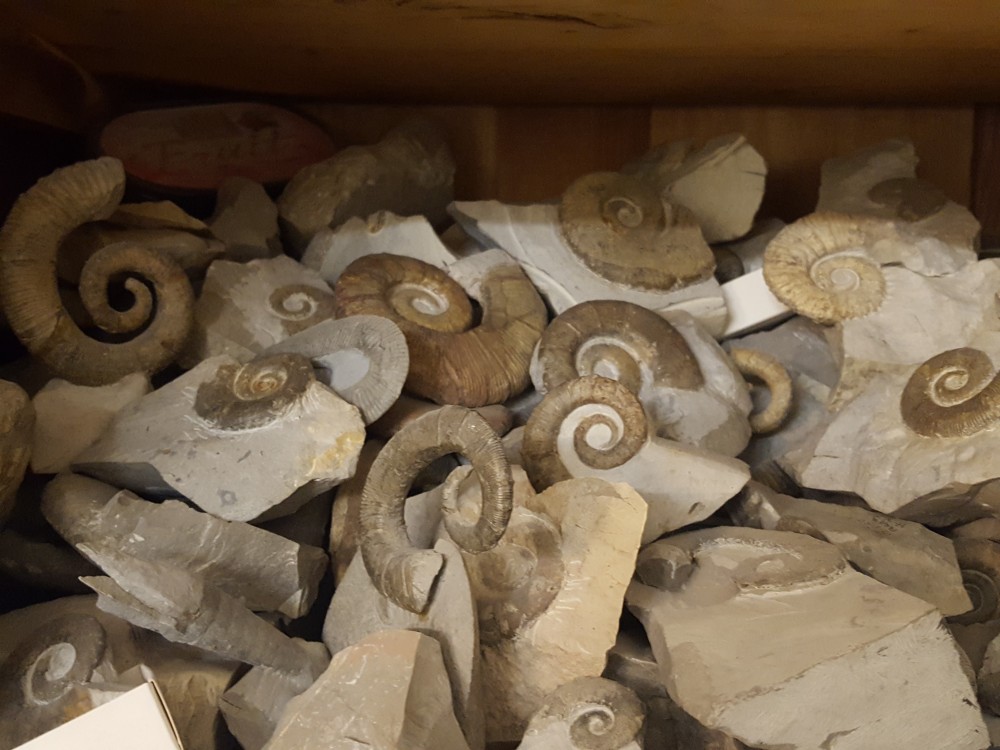 20210219_192033 - Copie.jpg