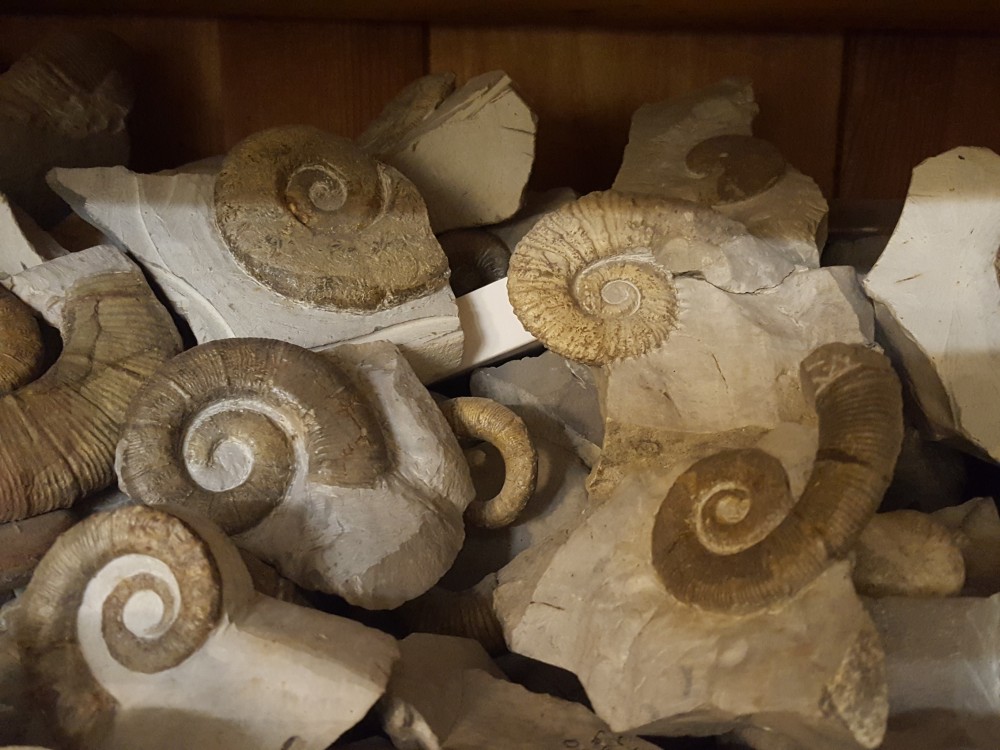 20210219_192048 - Copie.jpg