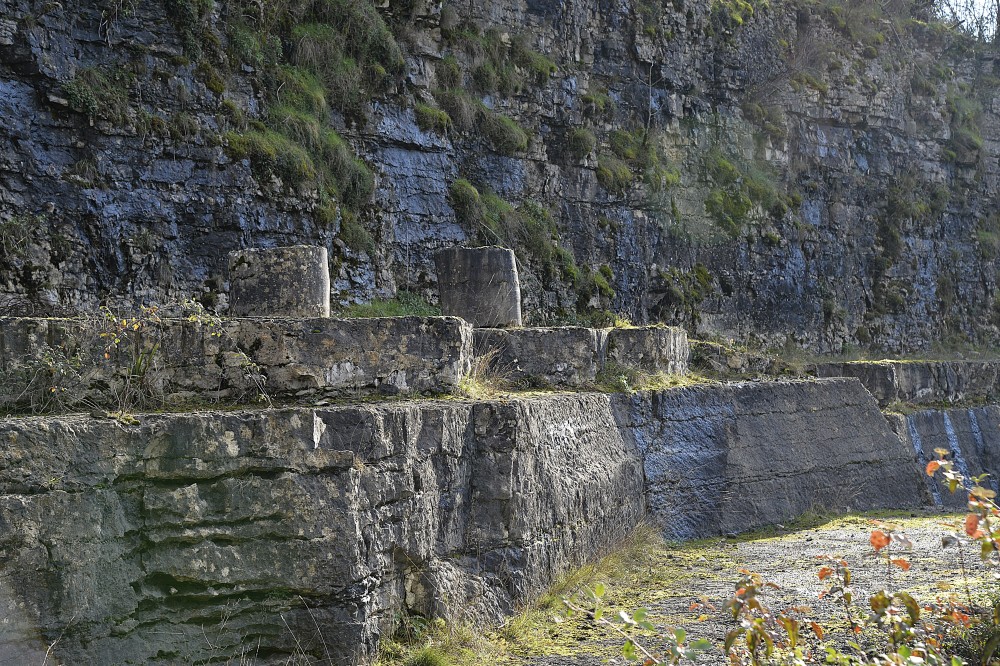 3_Car_du_Mas (7).JPG