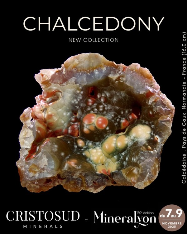 574607394_1281326817342293_8971453114512766914_n (1).jpg