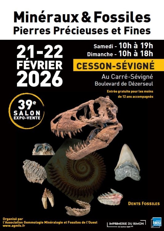 Affiche_Salon AGMFO 2026.JPG