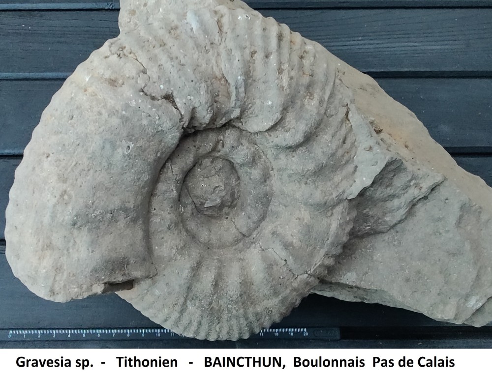 BAINCTHUN 1000009052.jpg