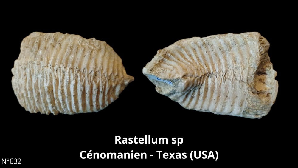 BT 057 collection_20251119_184949_0000.jpg