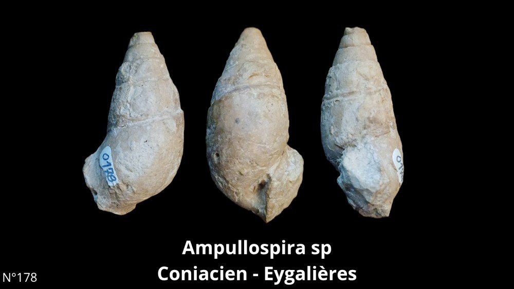 BT 057 collection_20251126_143136_0000.jpg