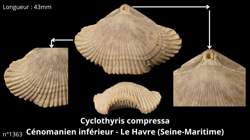 Bte 087_20251119_184657_0000.jpg