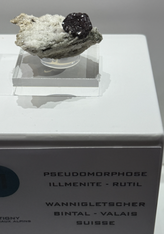 Capture d’écran 2025-11-01 à 22.06.31.png