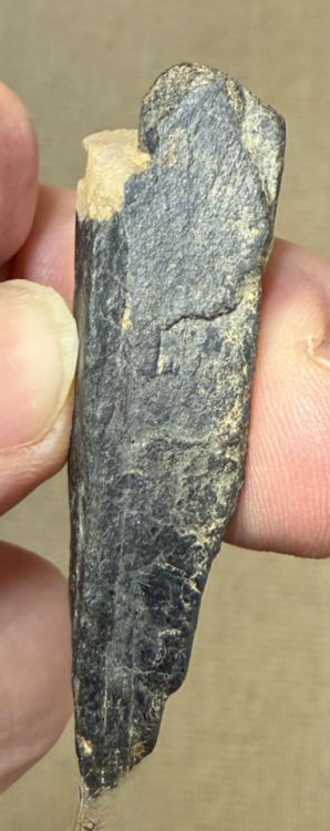 Capture d’écran 2025-11-24 à 00.10.04.png