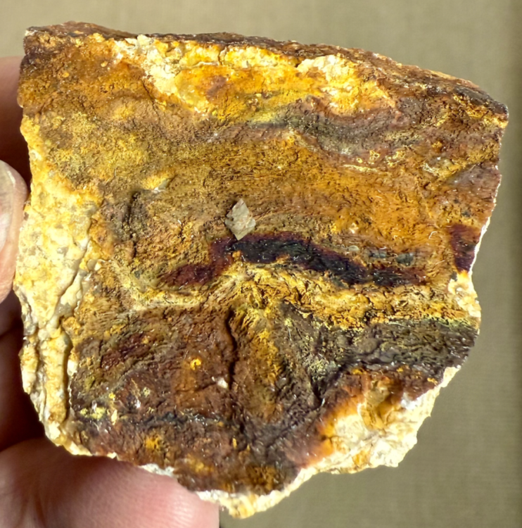 Capture d’écran 2025-11-26 à 00.15.36.png