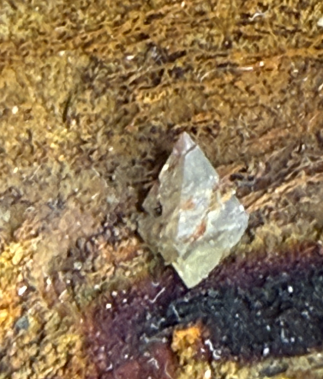 Capture d’écran 2025-11-26 à 00.16.00.png