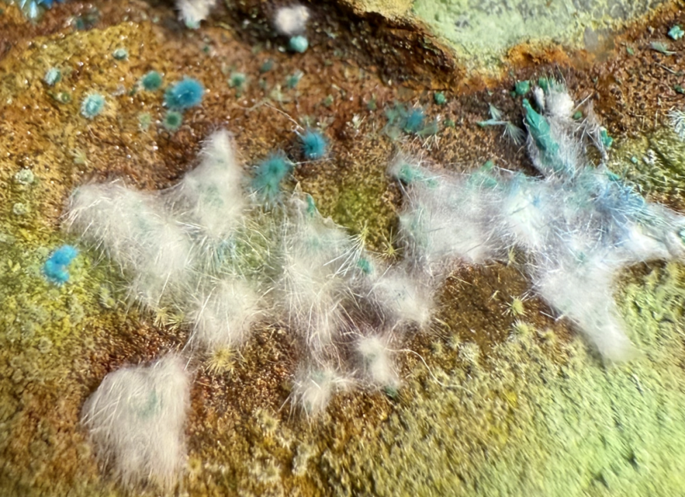 Capture d’écran 2025-11-26 à 00.21.13.png