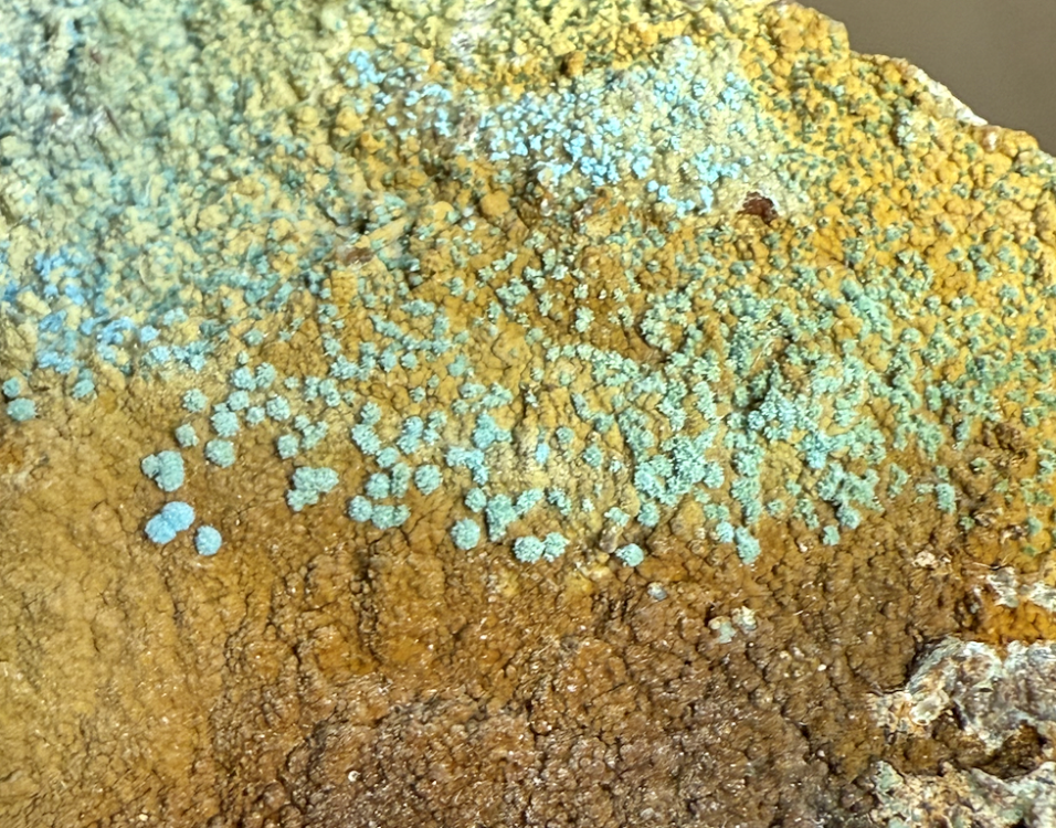 Capture d’écran 2025-11-27 à 00.35.14.png