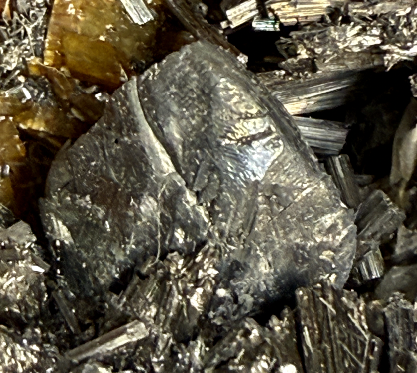 Capture d’écran 2025-11-29 à 23.57.19.png